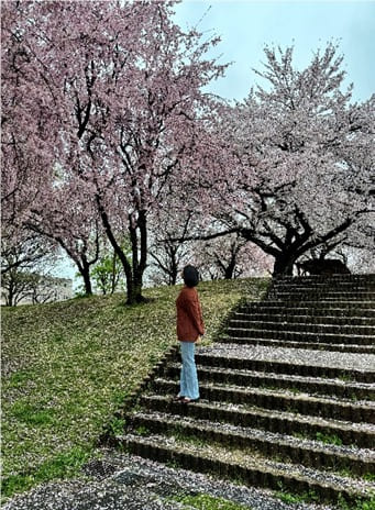 Pelatihan Bahasa Jepang sebagai Langkah Awal Menuju Jepang