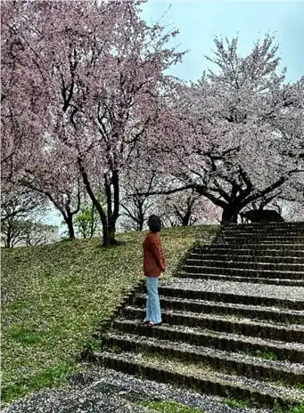 Pelatihan Bahasa Jepang sebagai Langkah Awal Menuju Jepang